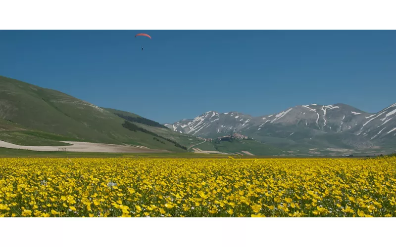 Umbria: Spring in Castelluccio di Norcia