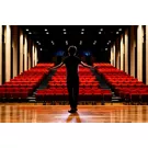 Foto di un attore di spalle sul palco di un teatro mentre guarda la platea.